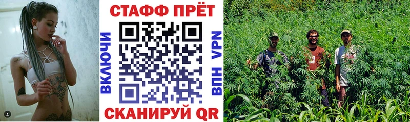 Меф Новоузенск