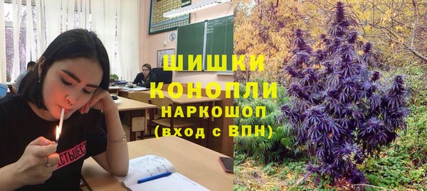 Альфа ПВП Армянск