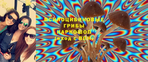 мдпв Арсеньев