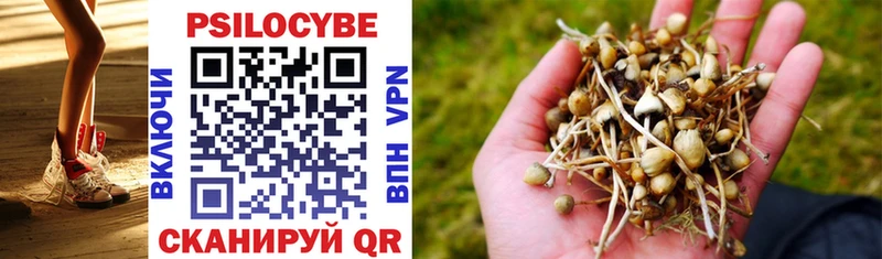 Галлюциногенные грибы Cubensis Новоузенск