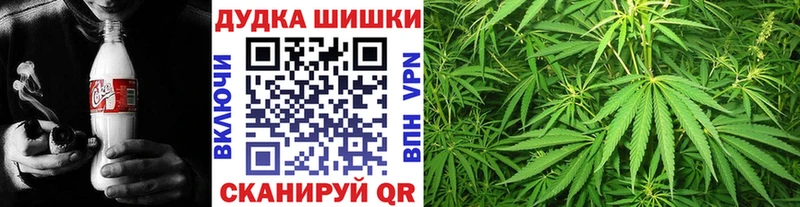 Марихуана THC 21%  Новоузенск 